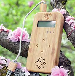 Music of the Plants Bamboo Music of the Plants Bamboo